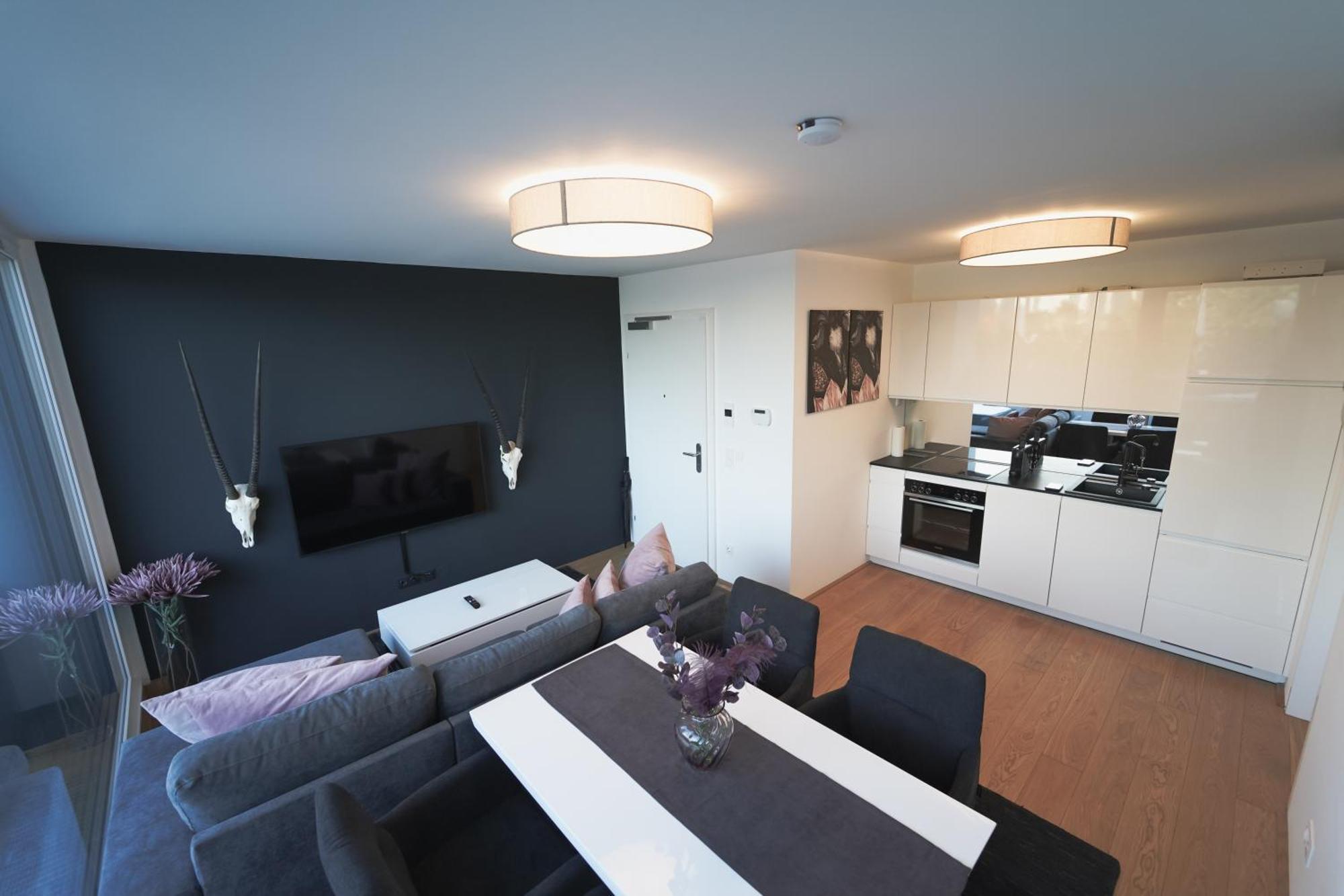 Modern Stylish Design Apartment With Free Parking Emily Bécs Kültér fotó